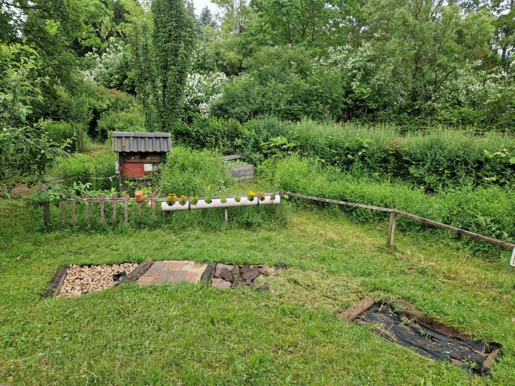 bienenwiese und barfußpfad