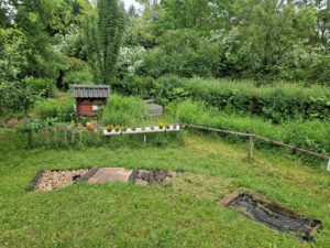 Startseite bienenwiese und barfußpfad