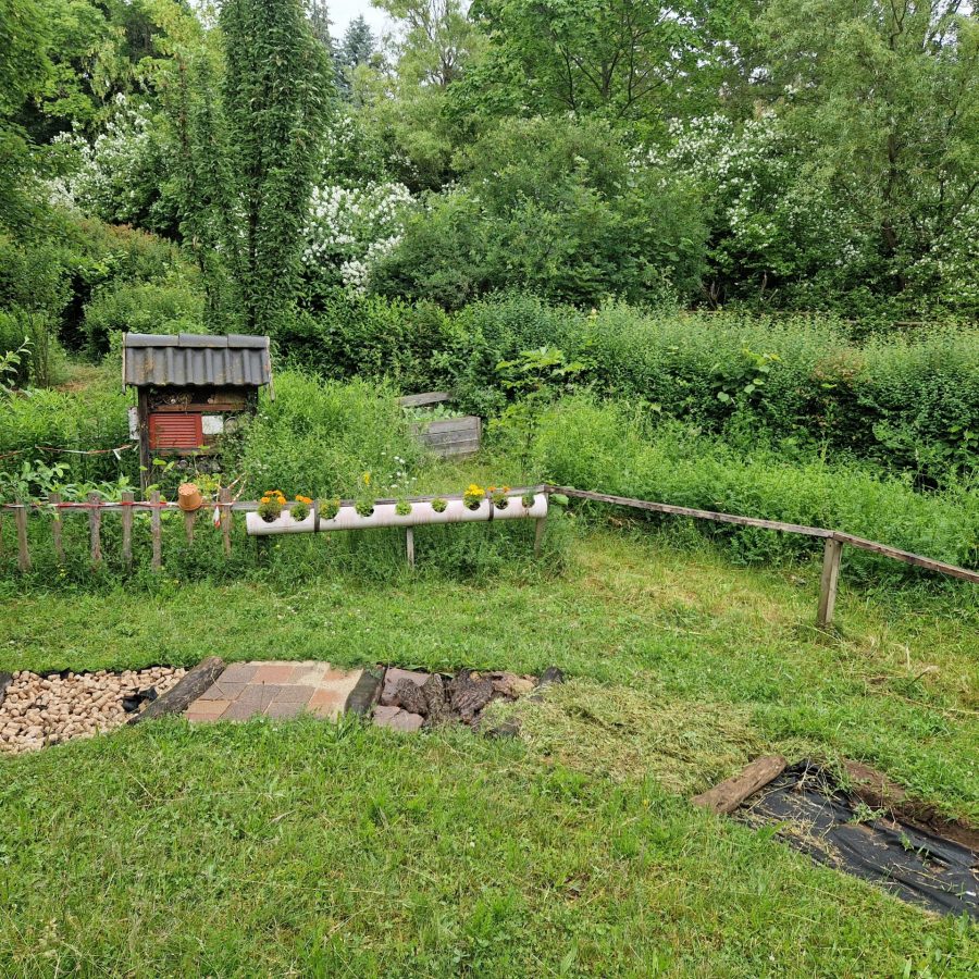 bienenwiese und barfußpfad
